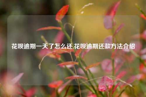 花呗逾期一天了怎么还,花呗逾期还款方法介绍