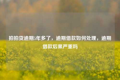 拍拍贷逾期5年多了，逾期借款如何处理，逾期借款后果严重吗