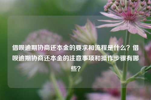 借呗逾期协商还本金的要求和流程是什么？借呗逾期协商还本金的注意事项和操作步骤有哪些？