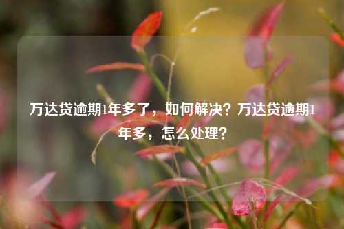 万达贷逾期1年多了，如何解决？万达贷逾期1年多，怎么处理？