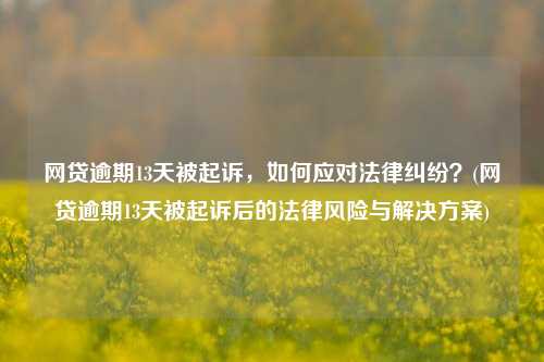 网贷逾期13天被起诉，如何应对法律纠纷？(网贷逾期13天被起诉后的法律风险与解决方案)