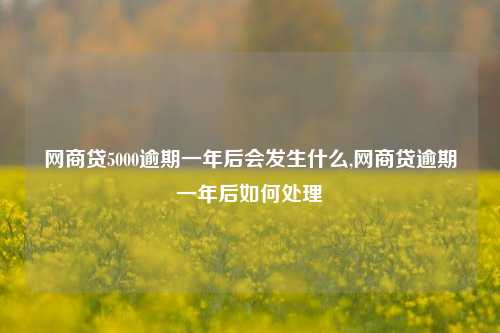 网商贷5000逾期一年后会发生什么,网商贷逾期一年后如何处理