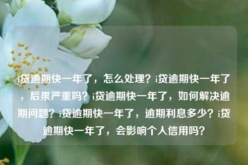 i贷逾期快一年了，怎么处理？i贷逾期快一年了，后果严重吗？i贷逾期快一年了，如何解决逾期问题？i贷逾期快一年了，逾期利息多少？i贷逾期快一年了，会影响个人信用吗？