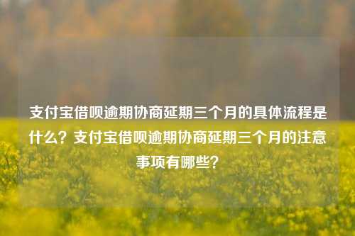 支付宝借呗逾期协商延期三个月的具体流程是什么？支付宝借呗逾期协商延期三个月的注意事项有哪些？