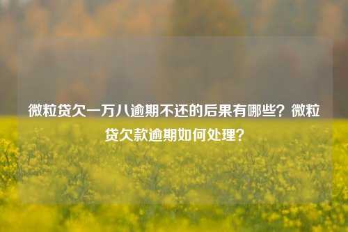 微粒贷欠一万八逾期不还的后果有哪些？微粒贷欠款逾期如何处理？