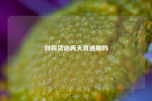 网商贷逾两天算逾期吗