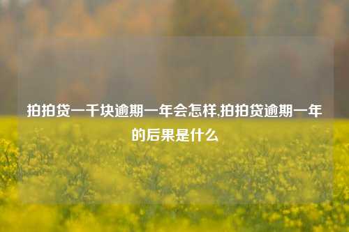 拍拍贷一千块逾期一年会怎样,拍拍贷逾期一年的后果是什么