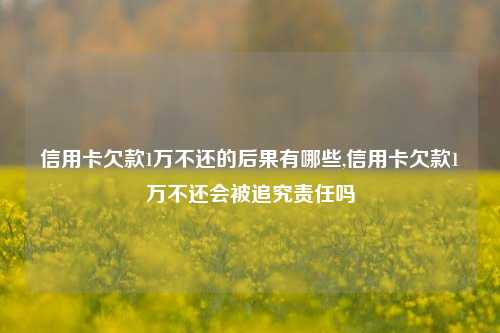 信用卡欠款1万不还的后果有哪些,信用卡欠款1万不还会被追究责任吗