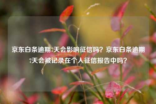 京东白条逾期7天会影响征信吗？京东白条逾期7天会被记录在个人征信报告中吗？