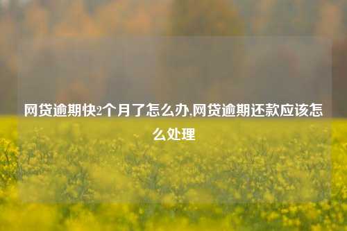 网贷逾期快2个月了怎么办,网贷逾期还款应该怎么处理