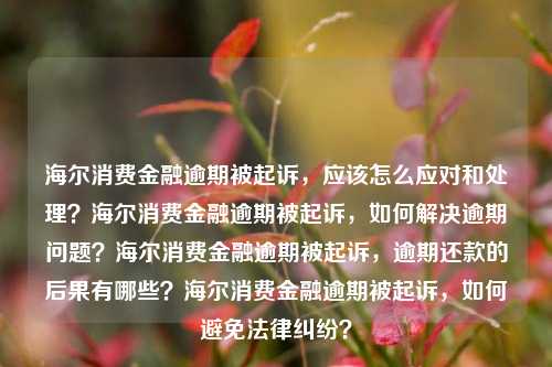 海尔消费金融逾期被起诉，应该怎么应对和处理？海尔消费金融逾期被起诉，如何解决逾期问题？海尔消费金融逾期被起诉，逾期还款的后果有哪些？海尔消费金融逾期被起诉，如何避免法律纠纷？