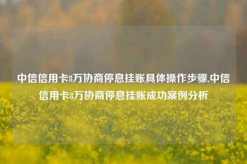 中信信用卡8万协商停息挂账具体操作步骤,中信信用卡8万协商停息挂账成功案例分析