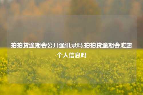 拍拍贷逾期会公开通讯录吗,拍拍贷逾期会泄露个人信息吗