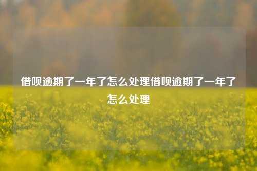 借呗逾期了一年了怎么处理借呗逾期了一年了怎么处理