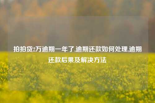 拍拍贷2万逾期一年了,逾期还款如何处理,逾期还款后果及解决方法