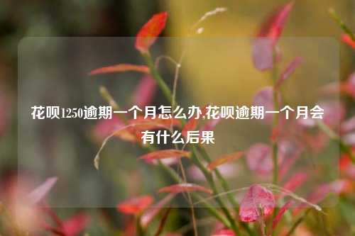 花呗1250逾期一个月怎么办,花呗逾期一个月会有什么后果