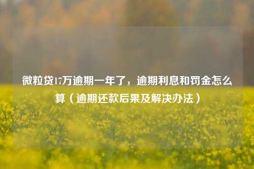 微粒贷17万逾期一年了，逾期利息和罚金怎么算（逾期还款后果及解决办法）