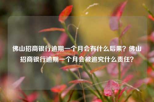 佛山招商银行逾期一个月会有什么后果？佛山招商银行逾期一个月会被追究什么责任？