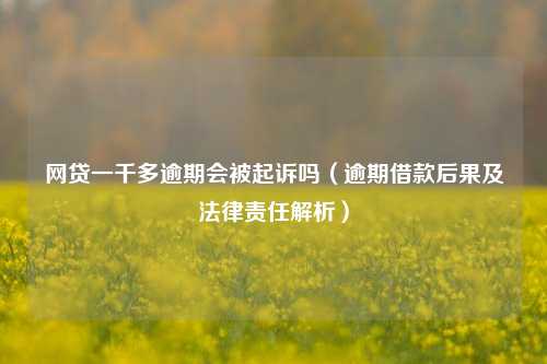 网贷一千多逾期会被起诉吗（逾期借款后果及法律责任解析）