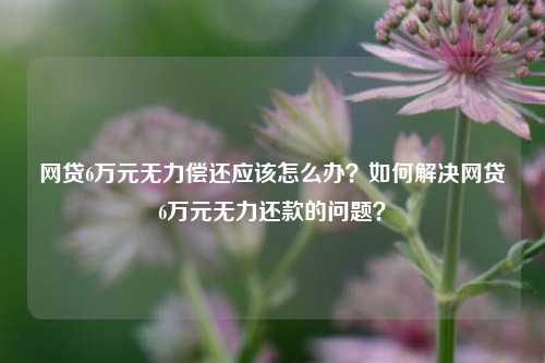 网贷6万元无力偿还应该怎么办？如何解决网贷6万元无力还款的问题？