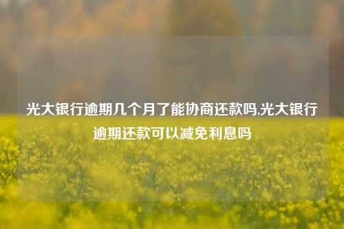 光大银行逾期几个月了能协商还款吗,光大银行逾期还款可以减免利息吗