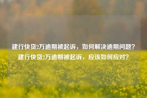 建行快贷2万逾期被起诉，如何解决逾期问题？建行快贷2万逾期被起诉，应该如何应对？