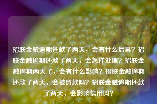 招联金融逾期还款了两天，会有什么后果？招联金融逾期还款了两天，会怎样处理？招联金融逾期两天了，会有什么影响？招联金融逾期还款了两天，会被罚款吗？招联金融逾期还款了两天，会影响信用吗？