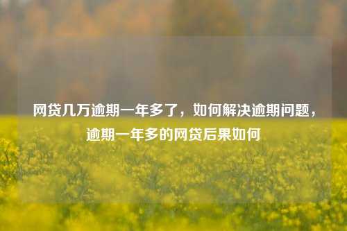 网贷几万逾期一年多了，如何解决逾期问题，逾期一年多的网贷后果如何