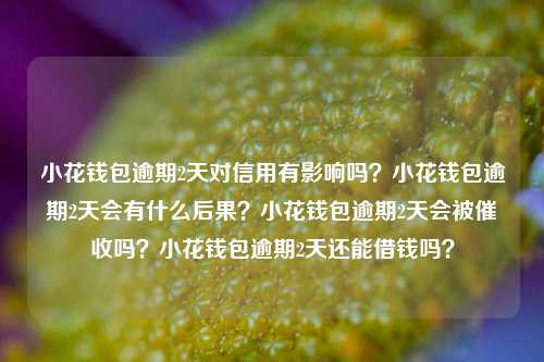 小花钱包逾期2天对信用有影响吗？小花钱包逾期2天会有什么后果？小花钱包逾期2天会被催收吗？小花钱包逾期2天还能借钱吗？