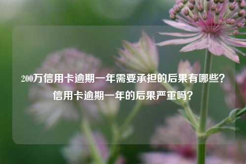 200万信用卡逾期一年需要承担的后果有哪些？信用卡逾期一年的后果严重吗？