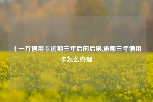 十一万信用卡逾期三年后的后果,逾期三年信用卡怎么办理