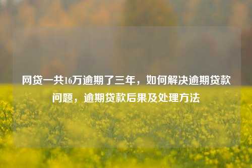 网贷一共16万逾期了三年，如何解决逾期贷款问题，逾期贷款后果及处理方法