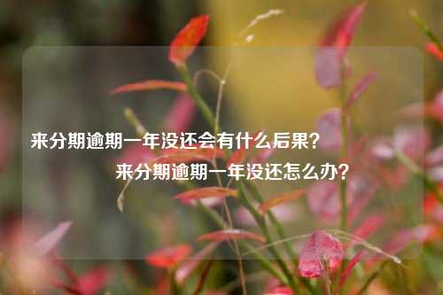 来分期逾期一年没还会有什么后果？                    来分期逾期一年没还怎么办？