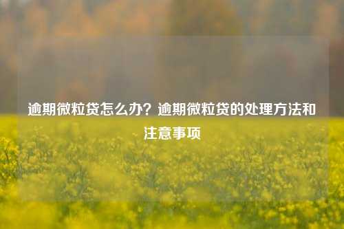 逾期微粒贷怎么办？逾期微粒贷的处理方法和注意事项