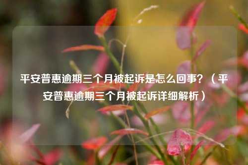 平安普惠逾期三个月被起诉是怎么回事？（平安普惠逾期三个月被起诉详细解析）