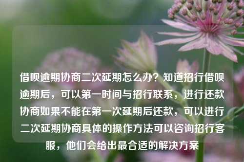 借呗逾期协商二次延期怎么办？知道招行借呗逾期后，可以第一时间与招行联系，进行还款协商如果不能在第一次延期后还款，可以进行二次延期协商具体的操作方法可以咨询招行客服，他们会给出最合适的解决方案