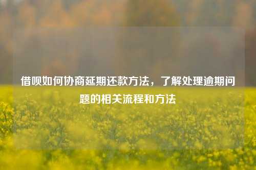 借呗如何协商延期还款方法，了解处理逾期问题的相关流程和方法