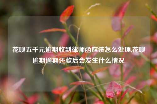 花呗五千元逾期收到律师函应该怎么处理,花呗逾期逾期还款后会发生什么情况