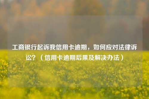 工商银行起诉我信用卡逾期，如何应对法律诉讼？（信用卡逾期后果及解决办法）