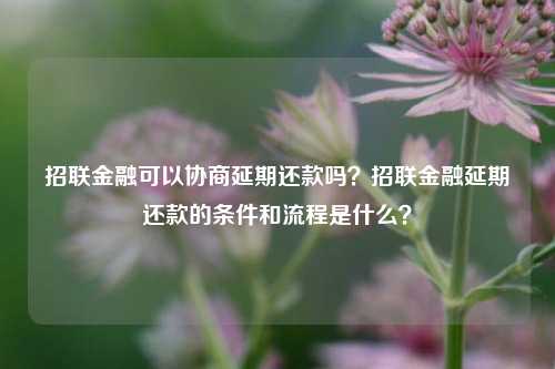 招联金融可以协商延期还款吗？招联金融延期还款的条件和流程是什么？