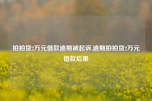 拍拍贷2万元借款逾期被起诉,逾期拍拍贷2万元借款后果