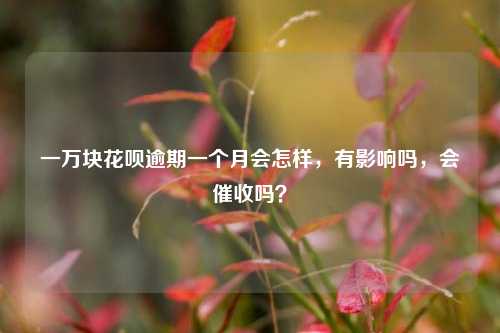 一万块花呗逾期一个月会怎样，有影响吗，会催收吗？