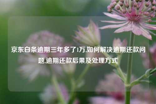 京东白条逾期三年多了1万,如何解决逾期还款问题,逾期还款后果及处理方式