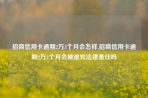 招商信用卡逾期2万3个月会怎样,招商信用卡逾期2万3个月会被追究法律责任吗