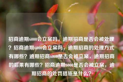 招商逾期6000会立案吗，逾期招商是否会被处理？招商逾期6000会立案吗，逾期招商的处理方式有哪些？逾期招商6000是否会被立案，逾期招商的后果有哪些？招商逾期6000是否会被立案，逾期招商的处罚措施是什么？