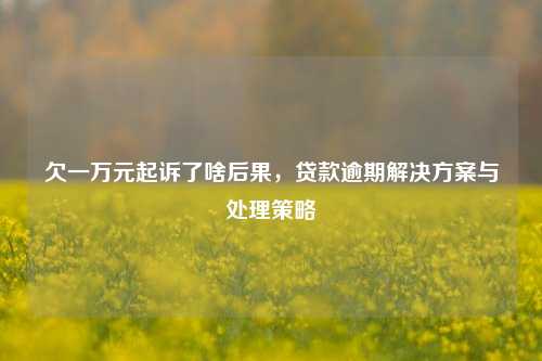 欠一万元起诉了啥后果，贷款逾期解决方案与处理策略