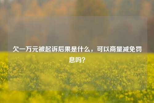 欠一万元被起诉后果是什么，可以商量减免罚息吗？