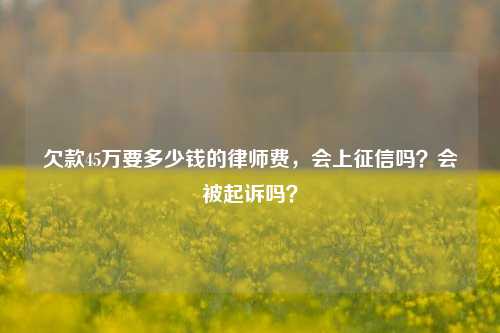 欠款45万要多少钱的律师费，会上征信吗？会被起诉吗？