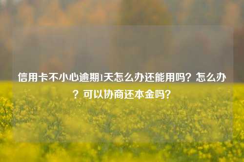 信用卡不小心逾期1天怎么办还能用吗？怎么办？可以协商还本金吗？