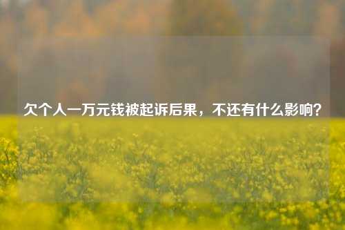 欠个人一万元钱被起诉后果，不还有什么影响？